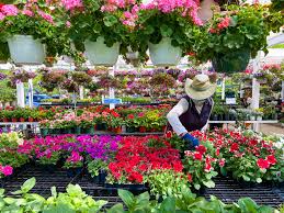 The second is to encourage children and adults to explore the world of indoor and. Garden Center Good Earth Garden Center And Landscaping