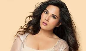 Richa Chadha Gulabi Gang