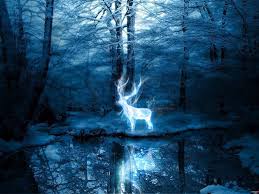 Those with the marsh harrier patronus are very thoughtful. Patronus Wallpapers Top Free Patronus Backgrounds Wallpaperaccess