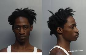 HAMMETT MARCUS TRAYVON 11/19/2024