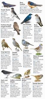 With stan tekiela's famous field guide, bird identification is simple and informative. Birds Of New York Quick Reference Publishing