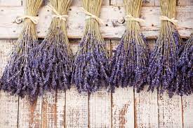 There are many varieties of lavender that can be grown in your garden. How To Preserve Your Dried Lavender