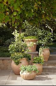 pin van anna holmstrom op landscaping mediterrane tuin tuin ideeen toscaanse tuin