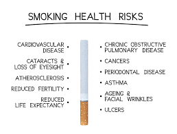 Cigarette no smoking tobacco smoking stop nicotine addiction smoke cancer 108 free images of stop smoking / 2 ‹ › The Short And Long Term Effects Of Smoking On Your Body Cbq Method