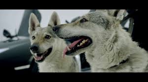 We and our partners use cookies to personalize your experience, to show you ads based on your interests, and for measurement and analytics purposes. Massaka Monstar361 Andere Liga Lyrics Genius Lyrics