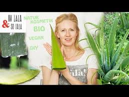 Nach anbruch kühl lagern und innerhalb von zwei wochen verbrauchen. Aloe Vera Gel Die Beste Hautpflege Selber Machen Anti Aging Naturkosmetik Diy Youtube