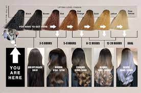 This Diagram Will Help You Price Time Black To Blonde Transformations Behindthechair Com Black To Blonde Blonde Transformation Black To Blonde Hair