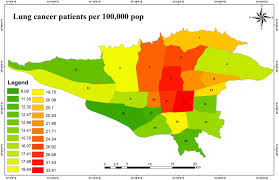 We did not find results for: Multiple Air Pollutant Exposure And Lung Cancer In Tehran Iran Scientific Reports