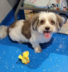 Wonderful shoot 💢💢💯💯