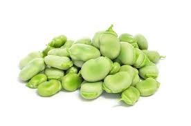 Maybe you would like to learn more about one of these? Growing Broad Beans In Western Australia Agriculture And Food