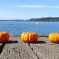 Lakesgiving Buffet event in Renton, WA