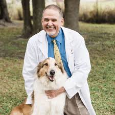 Loving care animal hospital has been proudly serving pet owners from the greater largo area and beyond for over twenty years. Our Staff Vet In Seminole Lake Seminole Animal Hospital