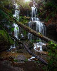 Jarrod Australia Jrodcaptures Instagram Photos And Videos Instagram Instagram Photo Photo And Video