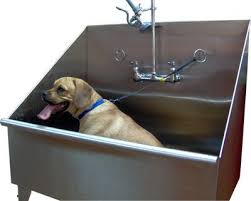 10+ dog grooming sinks ideas dog
