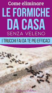 Come Eliminare Le Formiche Da Casa Senza Veleno Cleaning Hacks House Cleaning Tips Natural Cleaning Products