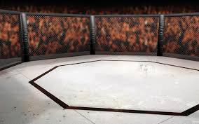Участники, кард и результаты oktagon mma oktagon 16. 12 Latek Transmitowal Na Youtube Gale Fame Mma Organizatorzy Zadaja 2 5 Mln Kary Kobieta