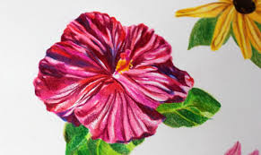 Drawing Flowers In Colored Pencil A Simple Tutorial You can go really simple to fairly complex depending on the type of flower. drawing flowers in colored pencil a