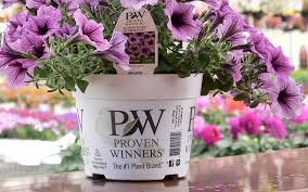 Check spelling or type a new query. Pleasant View Gardens Introduce Proven Winners Complete Package Program Lawn Garden Retailer