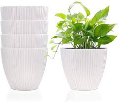 Plant pots indoor plastic planter wall hanging flowers cover round baskets boxes. Amazon Com 6 Inch Plastic Planters Indoor Flower Plant Pots Set Of 5 Modern Decorative Gardening Con Plastic Planters Indoor Flowers Succulents In Containers