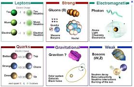 You Very Likely Know That There Are Four Fundamental Forces In The Universe Gravity Electromagnetism And The Weak And Strong Nuclear Forces While Only Some