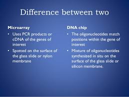 Microarray And Dna Chips For Transcriptome Study