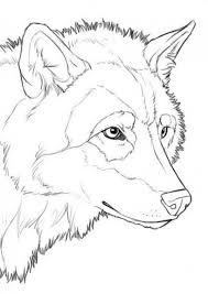 Pencildrawing Pencil Drawing Wolf Wolf Painting Wolf Sketch Animal Drawings