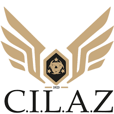 Would silver nylon pantyhose work ? Messing C I L A Z Metalle