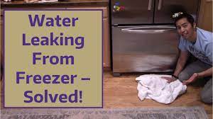 Fridge freezer leaking water underneath. Water Leaking From Freezer Solved Youtube
