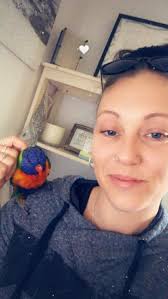 Injured or sick rainbow lorikeet in Balmain/Rozelle