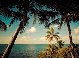 7 kỳ quan của Florida là gì?