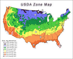 Spring brings the flowers of penstemon, mimulus, native iris, and cleveland and hummingbird sages. Usda Zone Based Veggie Planting Schedule Root Simple