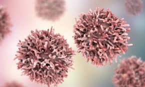 Start here to find information on head and neck cancer treatment in adults and children, causes and prevention, screening, research, and statistics. Head And Neck Cancer Organoids Could Personalize Chemotherapy