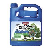 Bayer tree and shrub has been quite effective for me for both succulents and otherwise (if used carefully and responsibly). Bioadvanced 12 Month Tree Shrub Protect Feed Concentrate 64 Oz At Menards