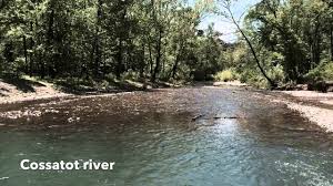 We did not find results for: Photos Of Wolf Pen Gap Atv Trail May 2 3 2015 Youtube