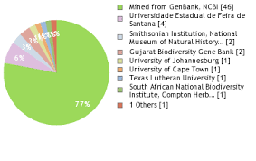 Image result for Zornia setosa