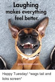 Happy funny tuesday quotes with images pictures tuesday. Happy Tuesday Meme Funny