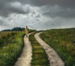 3 Signs You Re On The Right Path Even If You Re Walking All Alone With By Kimberly Fosu Zora