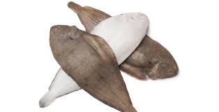 La definizione alla mugnaia indica un metodo di preparazione del pesce a carne bianca (sogliola. Come Lessare Le Sogliole Qbquantobasta It