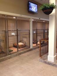 Dog And Large Animal Custom Enclosures Masonco Dog Boarding Kennels Indoor Dog Dog Kennel