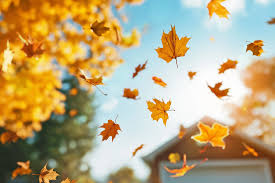 Fall" Or "Autumn" - Which Is Correct? And Why? | IFLScience