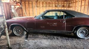 Image result for Copper Mist 1969 Buick