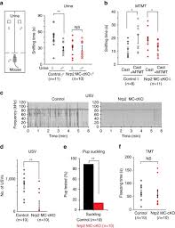 We did not find results for: Nrp2 Is Sufficient To Instruct Circuit Formation Of Mitral Cells To Mediate Odour Induced Attractive Social Responses Nature Communications