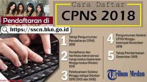 Pengumuman jadwal pelaksanaan seleksi kompetensi bidang (skb) wawancara. Pendaftaran Cpns 2018 Syarat Lulusan Sma Smk D Iii S 1 Pilih Formasi Dan Cara Daftar Di Sscn Halaman All Tribun Medan