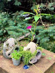 茶々のお庭さんの投稿 アサガオ アボカド レモンタイム アロマティカス 花のある暮らし アロマティカス アサガオ お庭