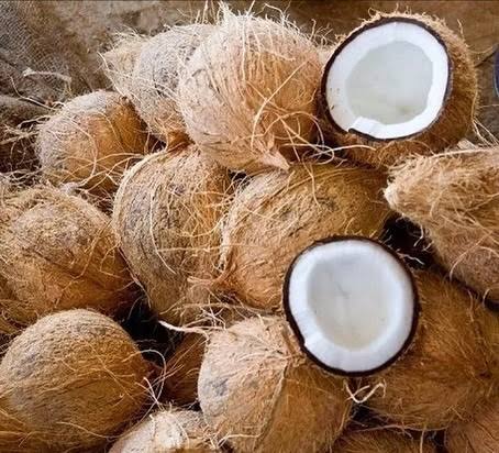 Semi Husk Coconut