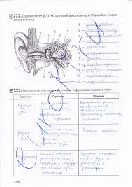 гдз по биологии 8 класс рабочая тетрадь маш 2015 Gdz Po Biologii 8 Klass Stranica 108 Rabochaya Tetrad Kolesov Mash