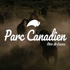 En 1926, lorsque le dernier loup du parc national de yellowstone a été abattu, la population de wapitis a explosé. Reve De Bisons Photos Facebook