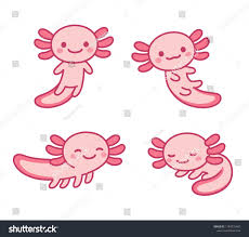 Check spelling or type a new query. Cute Cartoon Axolotl Drawing Set Little Kawaii Pink Salamander Character Vector Illustr Cute Kawaii Drawings Easy Cartoon Drawings Cartoon Drawings Of Animals