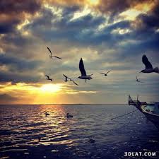 صور البحر 2020 خلفيات بحر وسفن للفوتوشوب Phone Wallpaper Images Photo Love Images