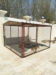 طيور قفص حمامة قفص دجاج جاهز 9336596 مزاد قطر